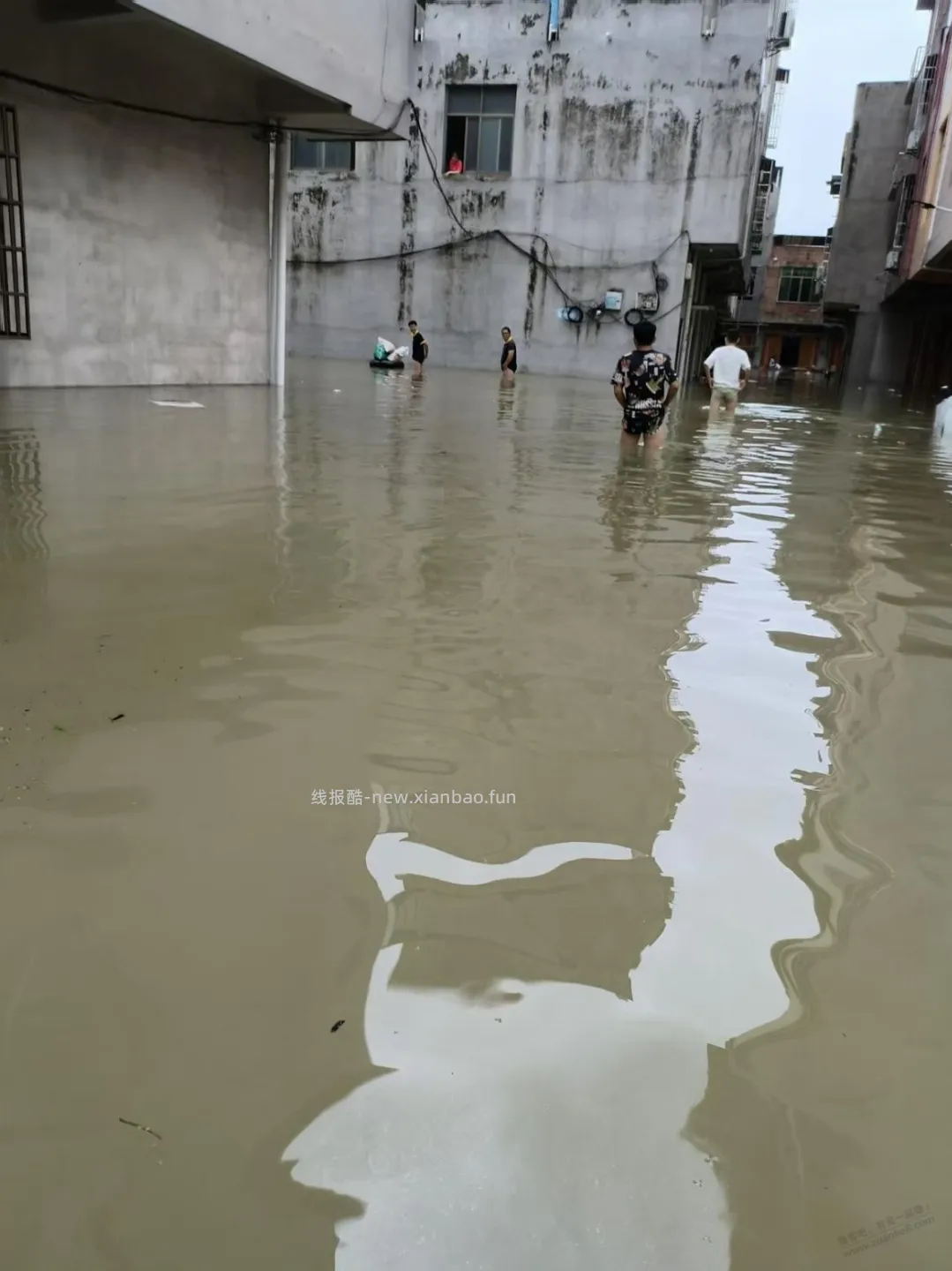 这几天老家发洪水，附近养殖场亏惨了 - 线报酷