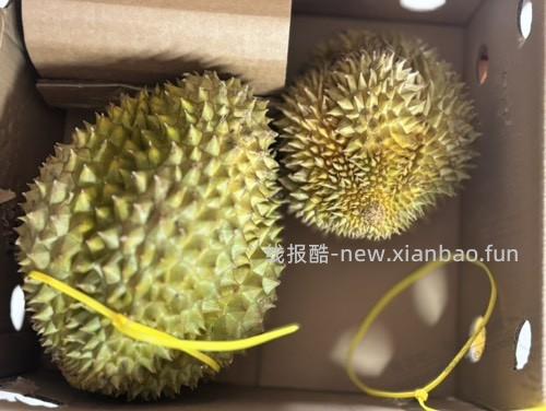 老哥们怎么看榴莲熟了没有呀 - 线报酷 老哥们怎么看榴莲熟了没有呀 - 线报酷