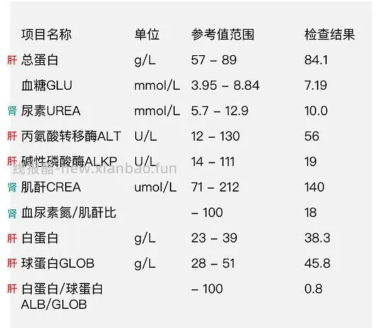 【科普】猫咪年度体检都检了些啥 - 线报酷