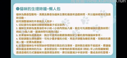 讨论/【科普】猫行为兽医师林子轩关于矫正猫咪乱尿、夜闹、咬人、猫关系不合、新猫进门、搬家、正确游戏方式等行为问题的合集 - 线报酷