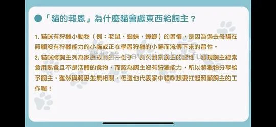 讨论/【科普】猫行为兽医师林子轩关于矫正猫咪乱尿、夜闹、咬人、猫关系不合、新猫进门、搬家、正确游戏方式等行为问题的合集 - 线报酷