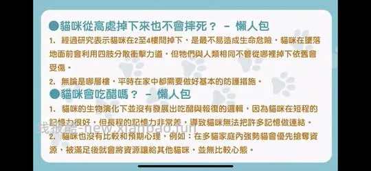 讨论/【科普】猫行为兽医师林子轩关于矫正猫咪乱尿、夜闹、咬人、猫关系不合、新猫进门、搬家、正确游戏方式等行为问题的合集 - 线报酷