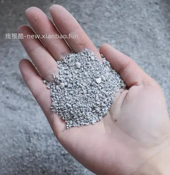 【科普】甲醛猫砂 - 线报酷 【科普】甲醛猫砂 - 线报酷