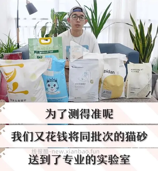 【科普】甲醛猫砂 - 线报酷 【科普】甲醛猫砂 - 线报酷