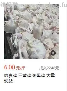 讨论/【科普】肉粉简直是商业粮里最恶心的潜规则 - 线报酷 讨论/【科普】肉粉简直是商业粮里最恶心的潜规则 - 线报酷