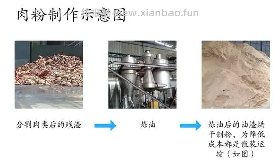 讨论/【科普】肉粉简直是商业粮里最恶心的潜规则 - 线报酷 讨论/【科普】肉粉简直是商业粮里最恶心的潜规则 - 线报酷
