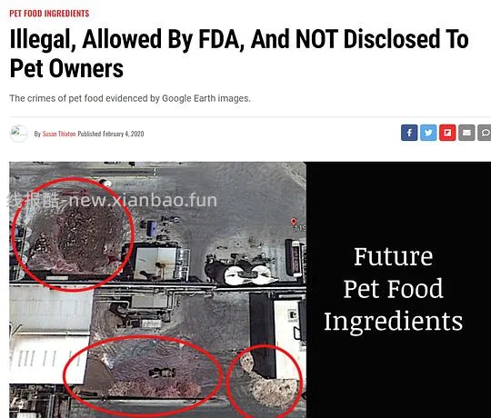 讨论/【科普】肉粉简直是商业粮里最恶心的潜规则 - 线报酷 讨论/【科普】肉粉简直是商业粮里最恶心的潜规则 - 线报酷