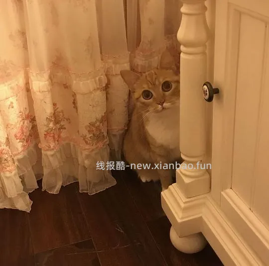 讨论/【科普】超详细版熟自制配比 常见自制误区竟然辣么多! - 线报酷 讨论/【科普】超详细版熟自制配比 常见自制误区竟然辣么多! - 线报酷