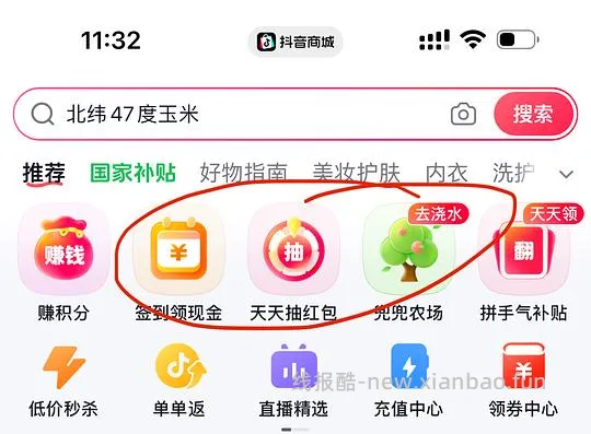 有棵树5块多4条纯棉内裤，需刷券刷积分 - 线报酷