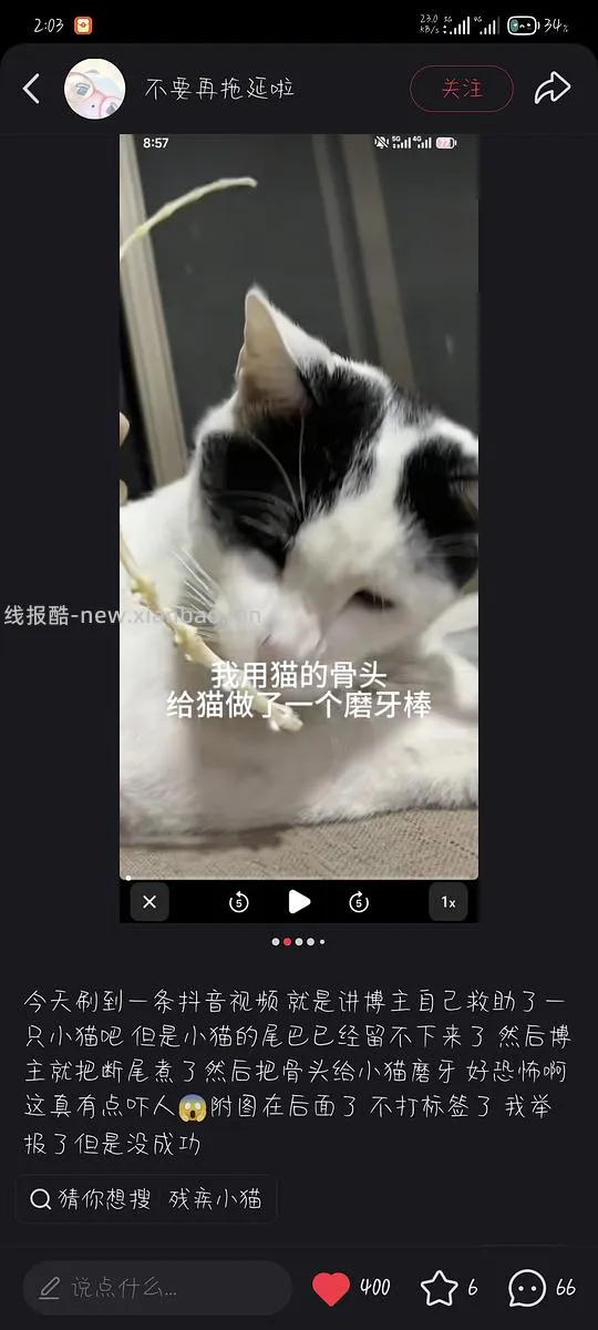 【讨论】虐猫博主重出江湖，给猫吃自己的断尾 - 线报酷