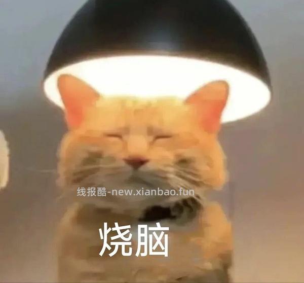 美的空调循环扇26绿色款205左右（好像走了） - 线报酷