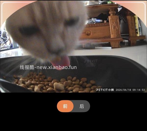 京东plus小佩超级好价喂食器，之前自己没搜到，现在靠朋友做到了，不会设置问答看我评论区吧 - 线报酷