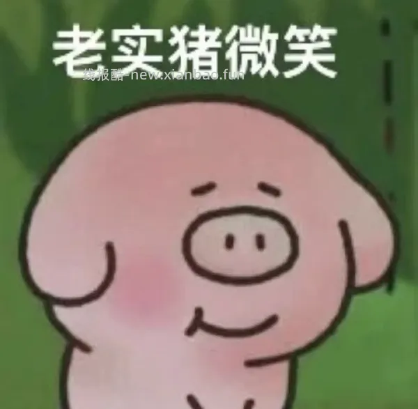 美的一人食电压力锅好价=110元 - 线报酷