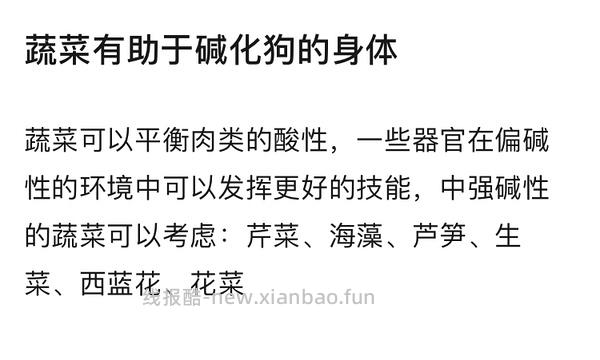 讨论｜【科普】搬运+整理自自然狗-狗狗需要吃蔬菜水果吗？ - 线报酷