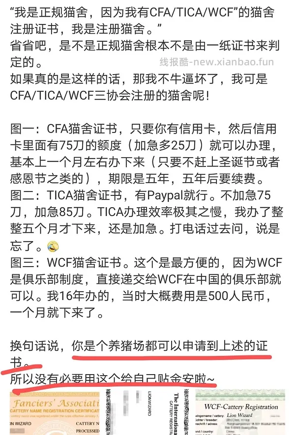 讨论/【科普】‼️‼️让我来告诉你们什么才是后院‼️住别墅的猫怎么能算后院‼️ - 线报酷