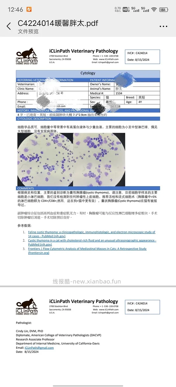 讨论/【科普】猫得了肿瘤怎么办 - 线报酷