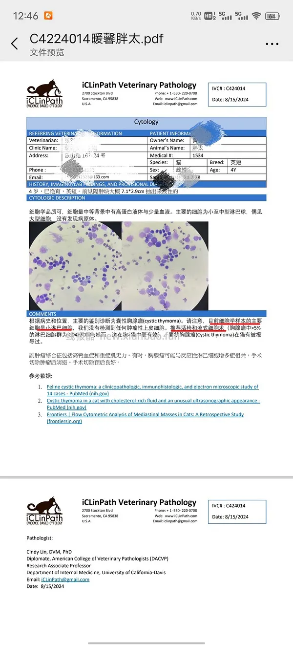 讨论/【科普】猫得了肿瘤怎么办 - 线报酷