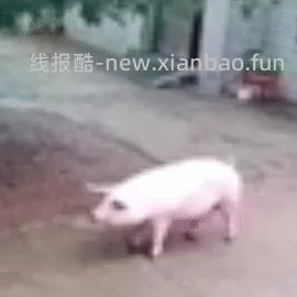 美团好想来门店自提多款0.1 可下多单 部分门店有星巴克和饮料 - 线报酷