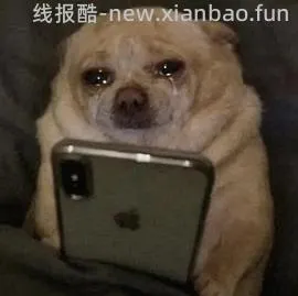 机不可失，失不再来，超好价兄弟2508打印机855+ - 线报酷