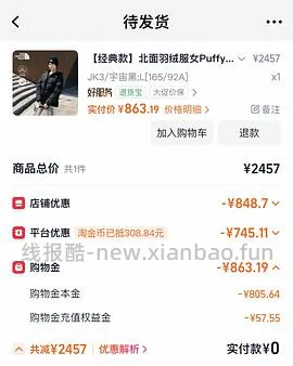 北面鹅绒冲锋衣 - 线报酷