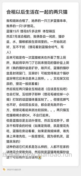 讨论/【科普】多猫家庭中几种不易察觉的冲突 - 线报酷