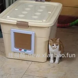 讨论/【科普】有关猫咪乱拉/乱尿行为问题的探讨 - 线报酷