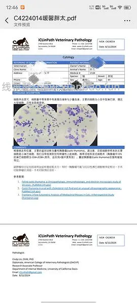 讨论/【科普】猫得了肿瘤怎么办 - 线报酷