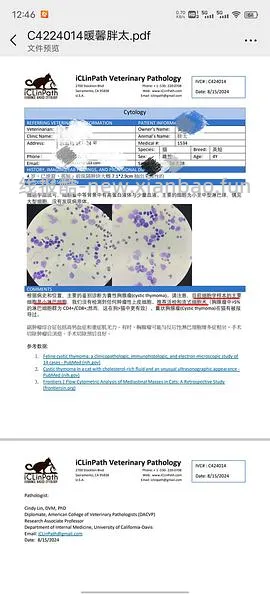 讨论/【科普】猫得了肿瘤怎么办 - 线报酷