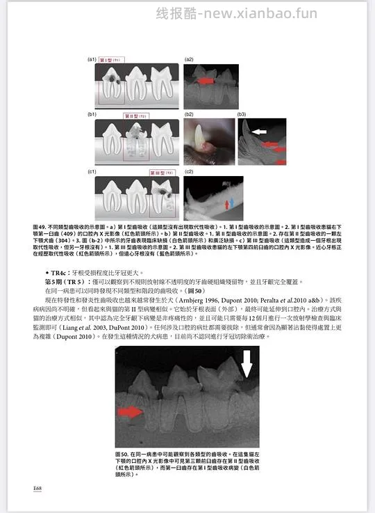 讨论/【科普】八岁小猫牙吸收 拔牙经验分享 - 线报酷 讨论/【科普】八岁小猫牙吸收 拔牙经验分享 - 线报酷