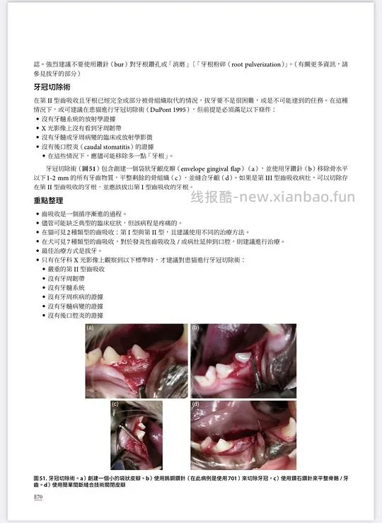 讨论/【科普】八岁小猫牙吸收 拔牙经验分享 - 线报酷 讨论/【科普】八岁小猫牙吸收 拔牙经验分享 - 线报酷